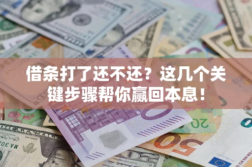 武汉借条打了还不还？这几个关键步骤帮你赢回本息！