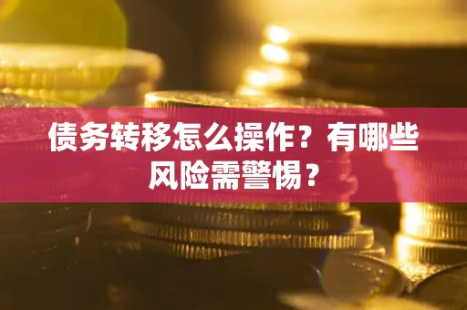 武汉债务转移怎么操作？有哪些风险需警惕？