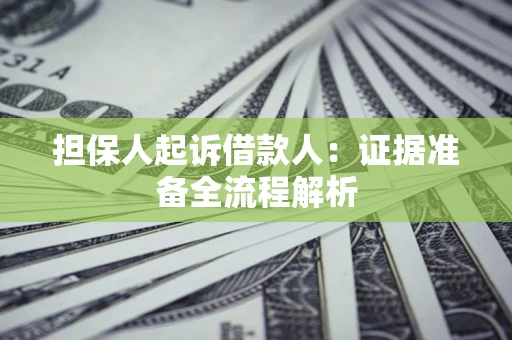 武汉担保人起诉借款人：证据准备全流程解析