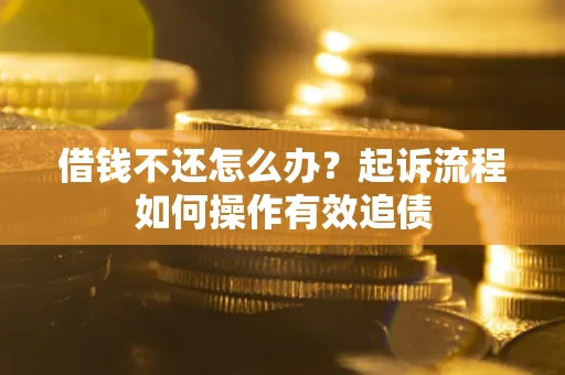 武汉借钱不还怎么办？起诉流程如何操作有效追债