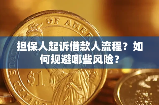 武汉担保人起诉借款人流程？如何规避哪些风险？