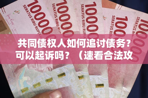 武汉共同债权人如何追讨债务？可以起诉吗？（速看合法攻略）