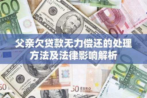 武汉父亲欠贷款无力偿还的处理方法及法律影响解析