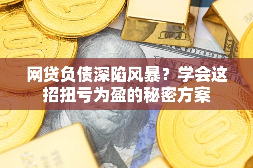 武汉网贷负债深陷风暴？学会这招扭亏为盈的秘密方案